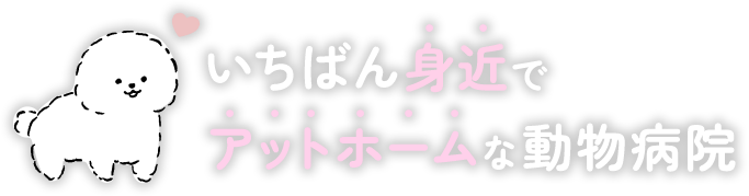 いちばん身近でアットホームな動物病院