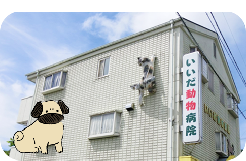 いいだ動物病院 いがら